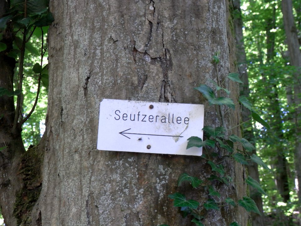 Bach aus der Rothwies Seufzerallee R0014550