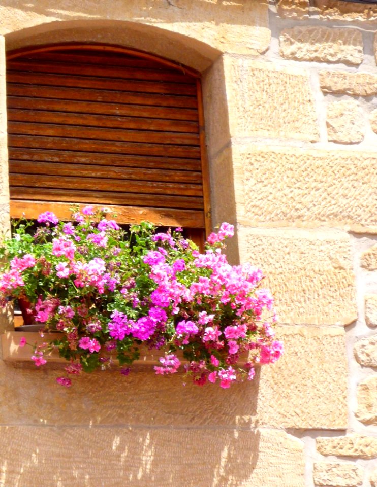 Baños de Ebro - ventanas 1