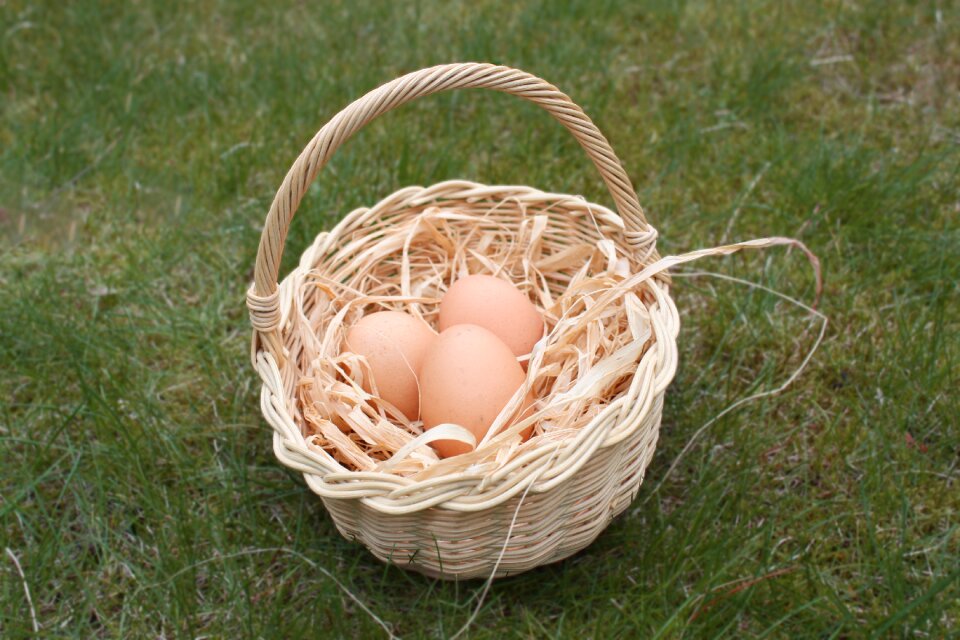 Nest easter eggs easter greetings