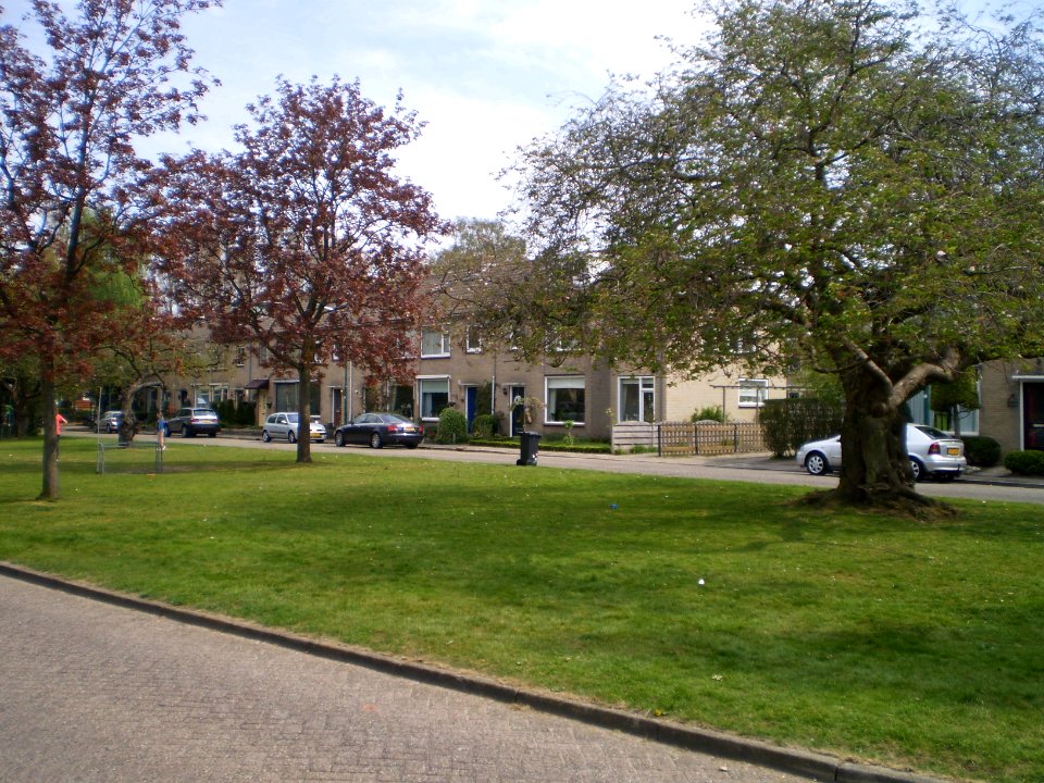 Baarn Meijerslaan