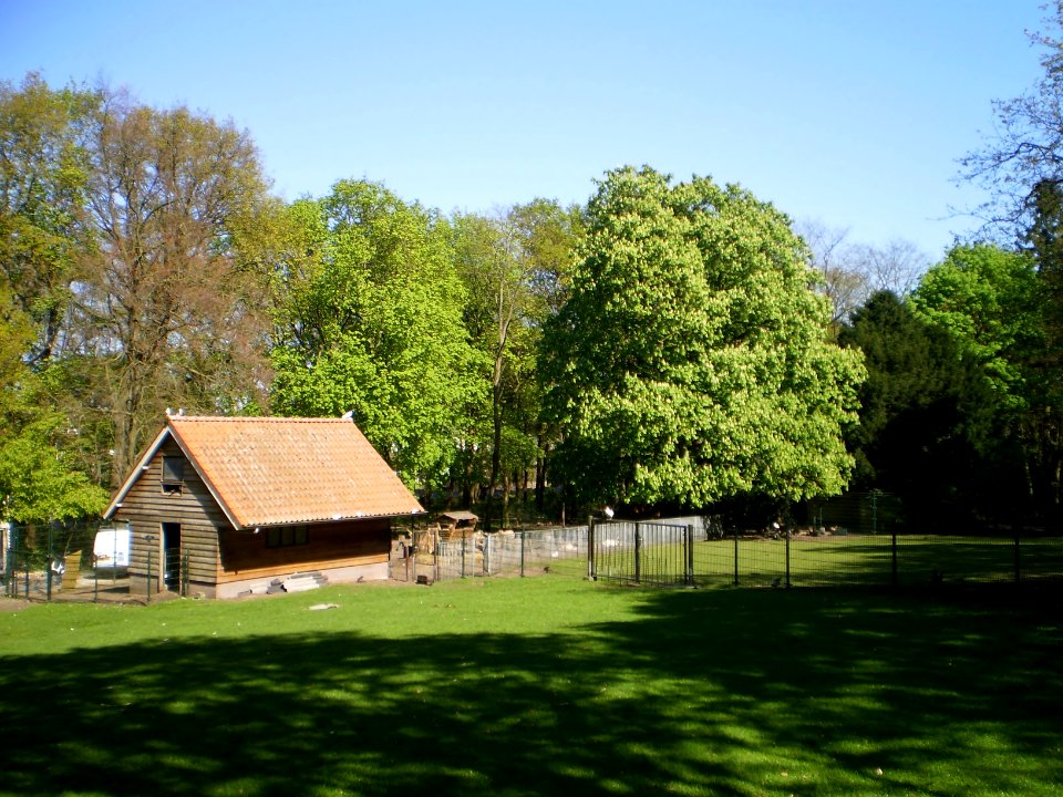 Baarn Maarschalksbos hertenkamp
