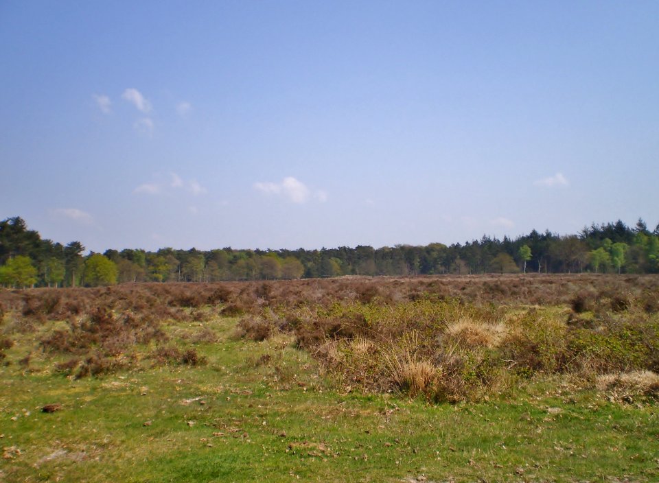 Baarn De Stulp 97