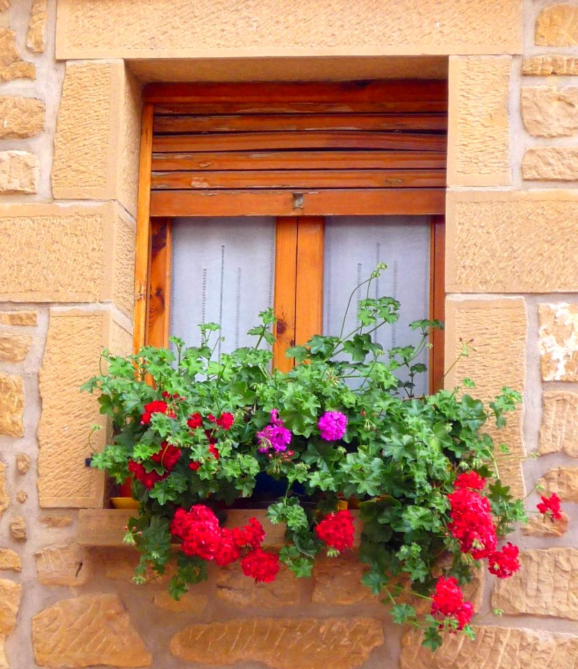 Baños de Ebro - ventanas 2