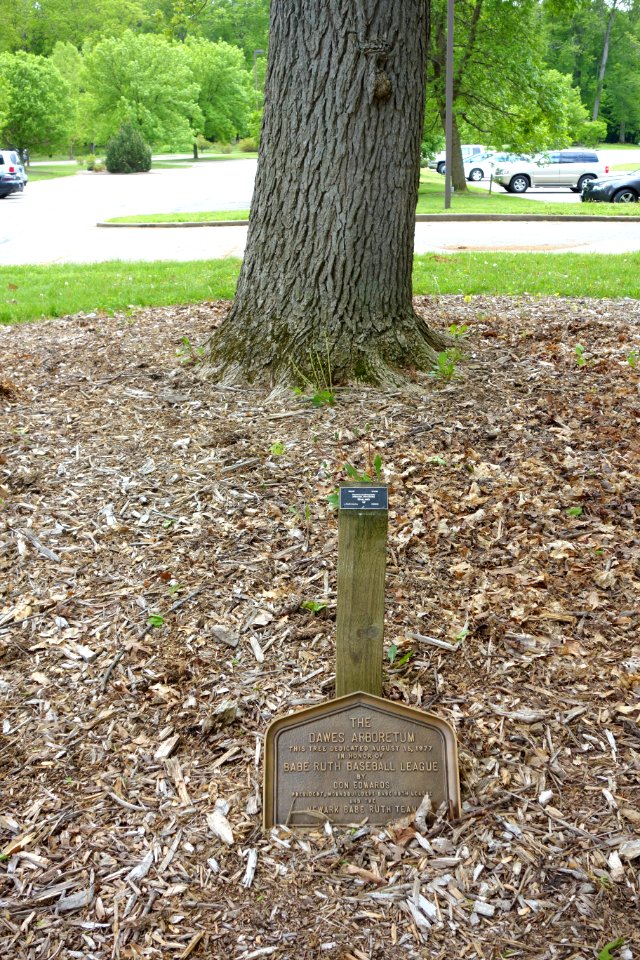Babe Ruth Baseball League - Dawes Arboretum plaque - DSC02970
