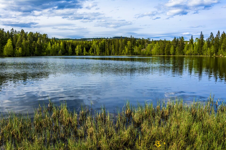 The nature of the water green