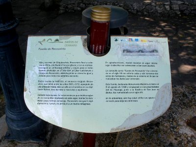 Baños de Cerrato - Fuente de Recesvinto 1