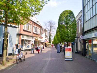 Baarn Laanstraat 59
