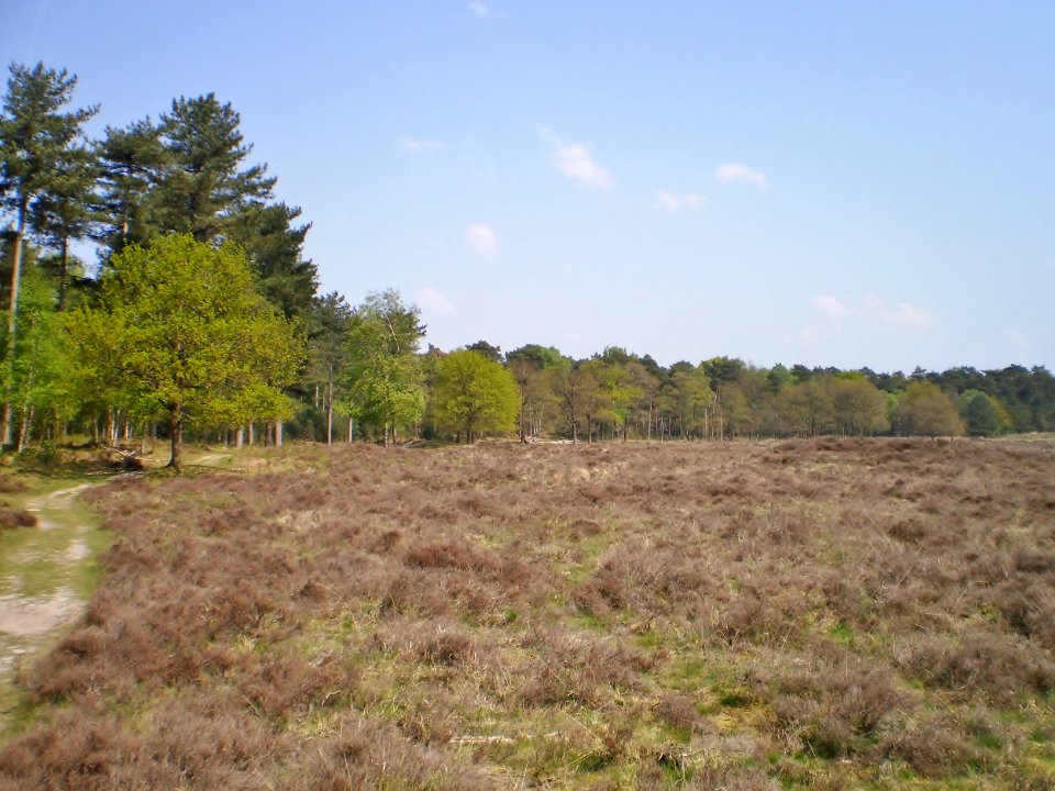Baarn De Stulp 99