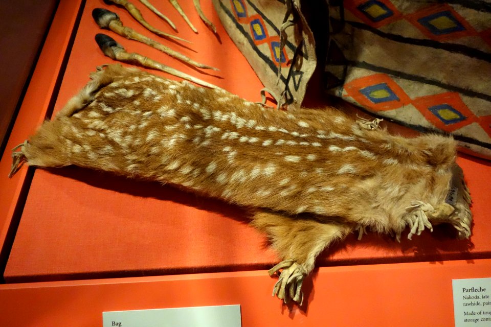 Bag, Nakoda, mid 1900s, fawn skin - Glenbow Museum - DSC00948