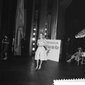 Badpakkenshow in het Citytheater te Amsterdam, Bestanddeelnr 911-2217