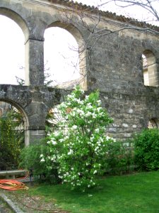 Baeza - Palacio los Obispos 16