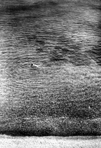 Badstranden, John Lindros. Vouni. bad. Galini - SMVK - C00576