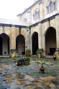 Baeza - Catedral, claustro 08