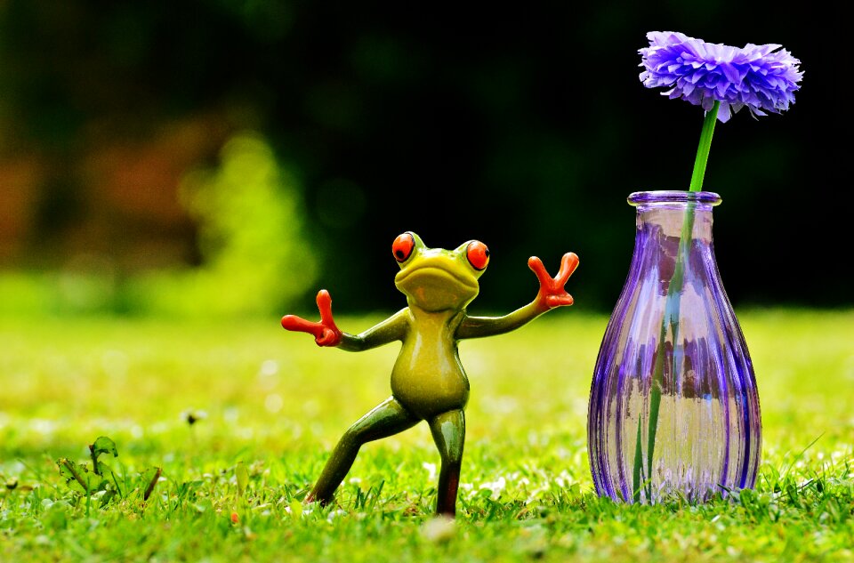 Vase flower funny