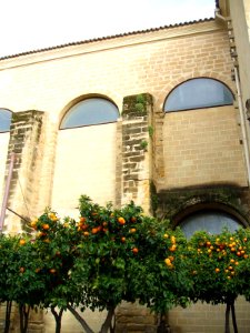 Baeza - Convento de San Francisco 12