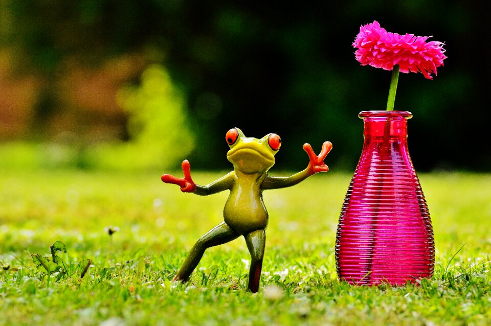 Vase flower funny