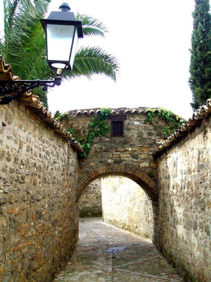 Baeza - Catedral, exteriores 14