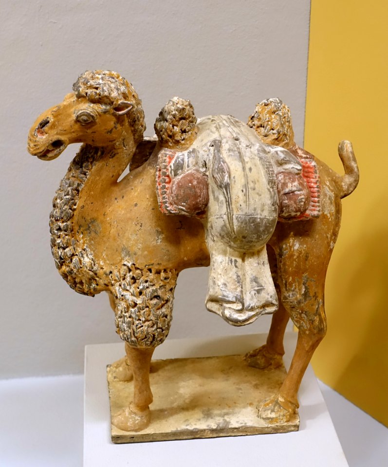 Bactrian camel, China, Tang dynasty, 618-907 AD, ceramic - Linden-Museum - Stuttgart, Germany - DSC03586