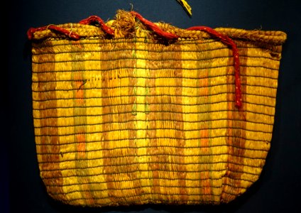Bag, Native American, bark - Etnografiska museet - Stockholm, Sweden - DSC01218