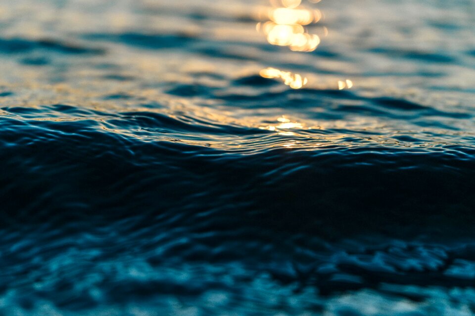 Reflection swim blue