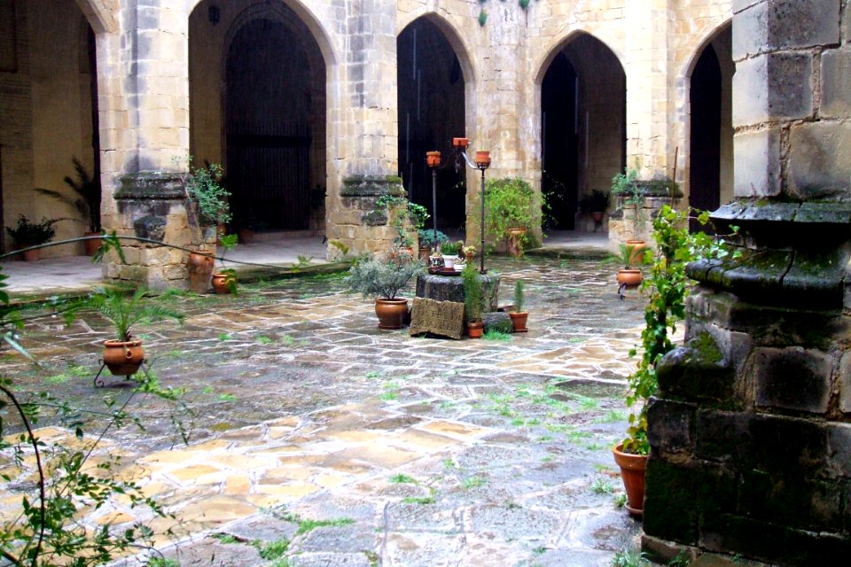 Baeza - Catedral, claustro 11