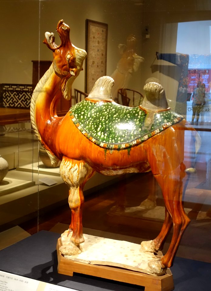 Bactrian camel, Shaanxi or Henan province, China, Tang dynasty, 675-750 AD, earthenware with sancai glaze - Portland Art Museum - Portland, Oregon - DSC08428