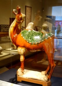 Bactrian camel, Shaanxi or Henan province, China, Tang dynasty, 675-750 AD, earthenware with sancai glaze - Portland Art Museum - Portland, Oregon - DSC08428