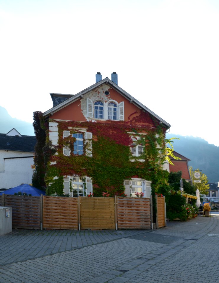 Bad Münster am Stein, Lindenallee 11 (1)