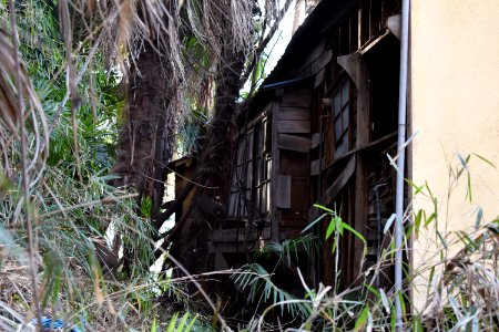 Back of abandonned wooden house in Minato-ku photo