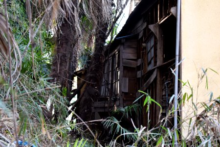 Back of abandonned wooden house in Minato-ku