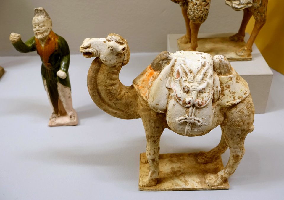 Bactrian camel, China, probably Northern Wei dynasty, 386-534 AD, ceramic - Linden-Museum - Stuttgart, Germany - DSC03587