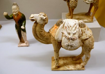 Bactrian camel, China, probably Northern Wei dynasty, 386-534 AD, ceramic - Linden-Museum - Stuttgart, Germany - DSC03587