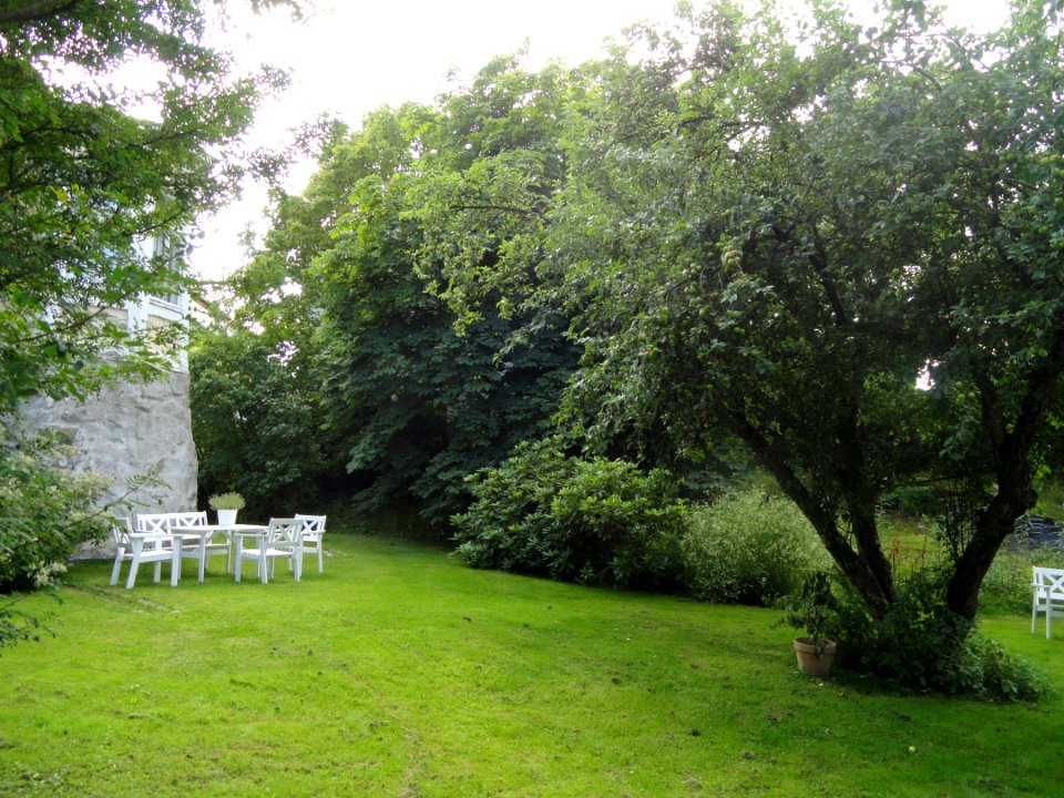 Back garden, Cygnaeus Gallery, Helsinki - DSC05675