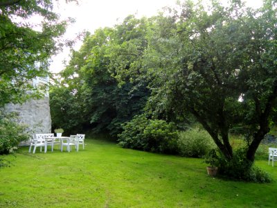 Back garden, Cygnaeus Gallery, Helsinki - DSC05675