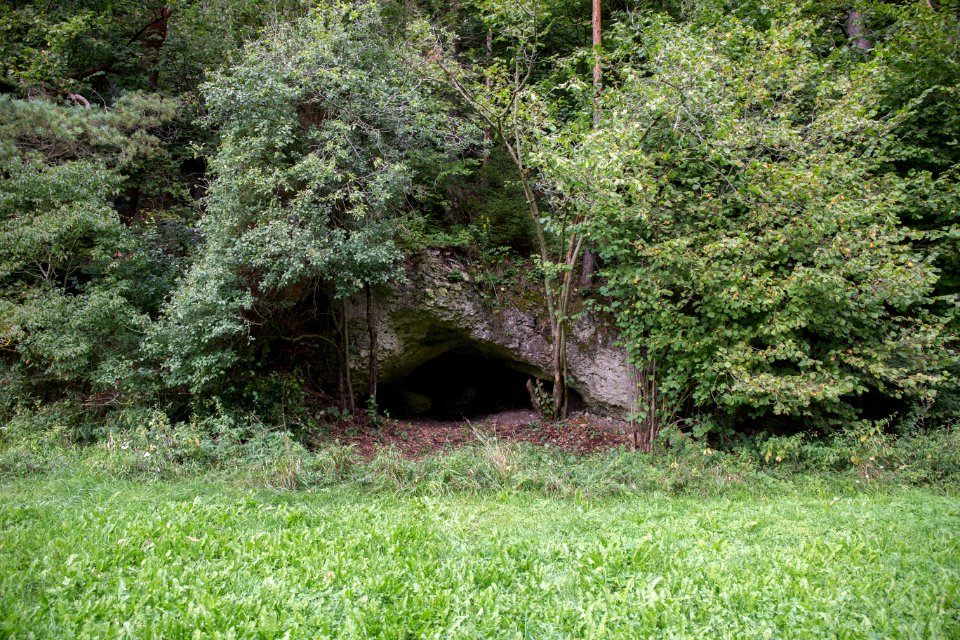 Backofen bei Ottenhof (D 65) 01