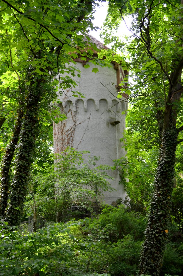 Bad Camberg, Weißer Turm