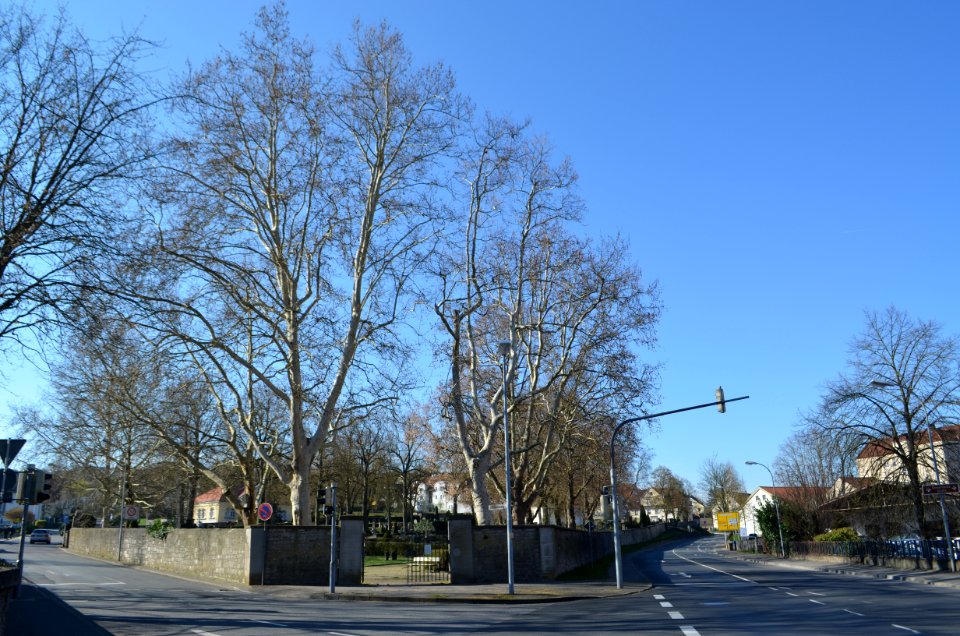 Bad Mergentheim, Alter Friedhof