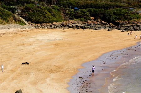 Back-Beach-Devonport-20070310-024