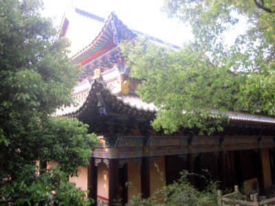 Back view of the Mahavira Hall, Songbai Temple