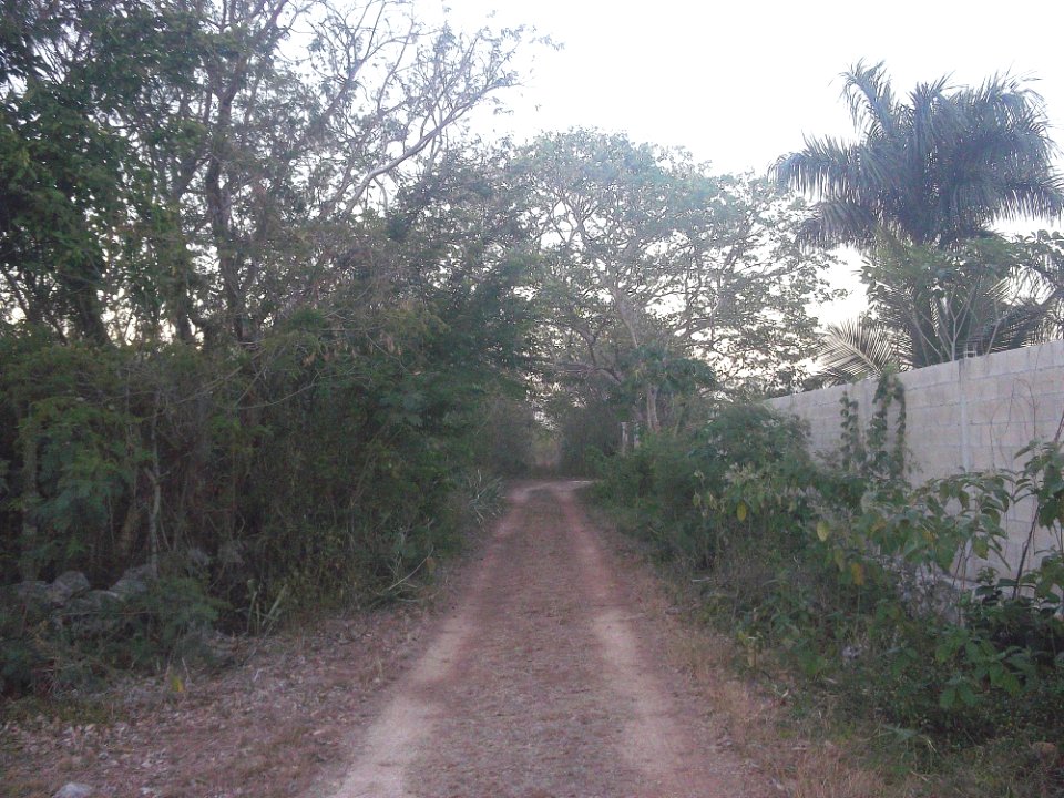 Bacne-Ceh, Yucatán (04)