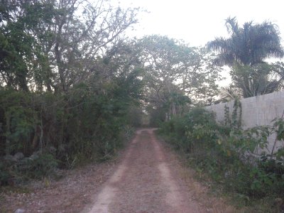 Bacne-Ceh, Yucatán (04)
