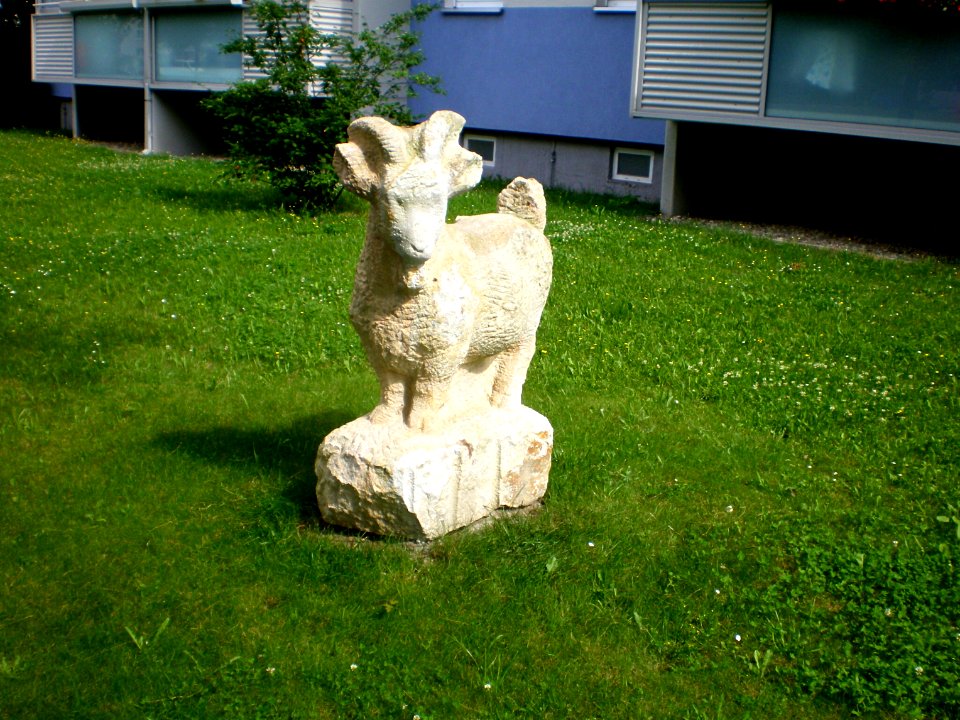 Backofen Eva, Die Ziege 02