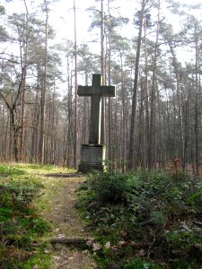 Bad Lippspringe-Tilly Kreuz-2