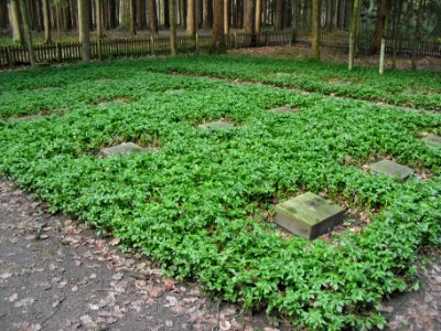Bad Lippspringe-Ehrenfriedhof-5