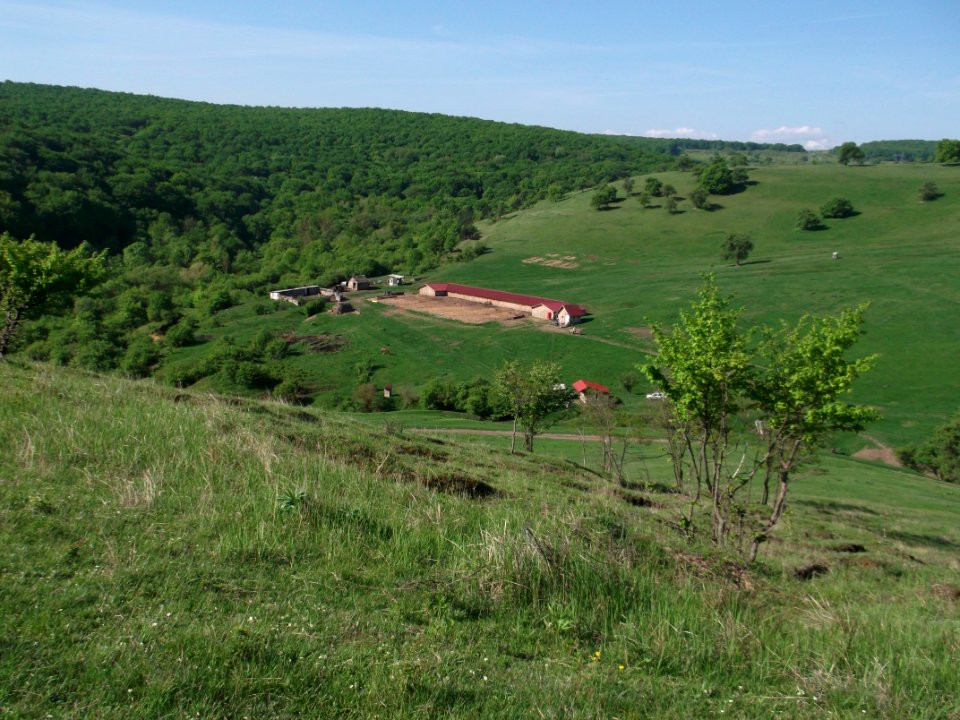 Baciu,Cluj-DSCF3545