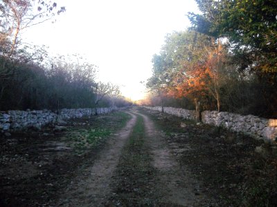 Bacne-Ceh, Yucatán (03)