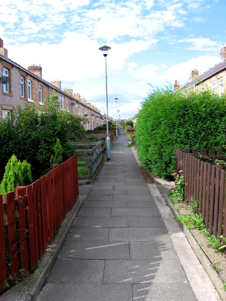 Backs of the colliery rows, Ashington photo