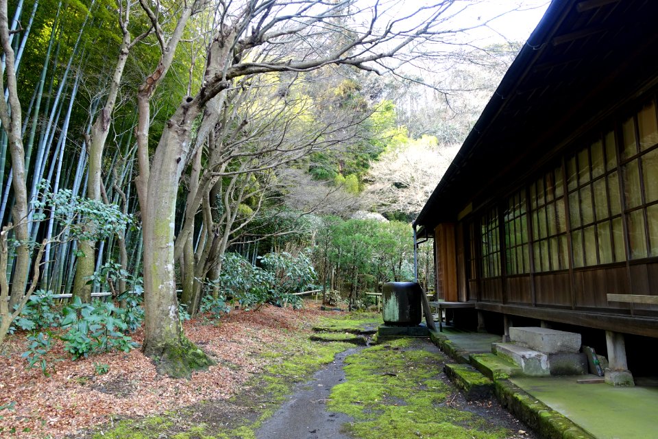 Backside - Eishō-ji - Kamakura, Kanagawa, Japan - DSC08172