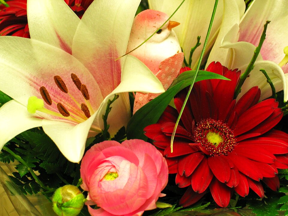 Lily spring flower vase