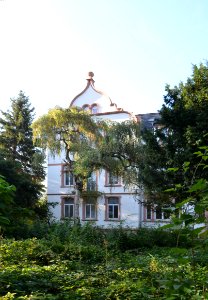 Bad Münster am Stein, Lindenallee 3 (2)